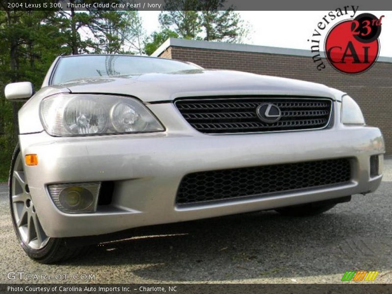 Thunder Cloud Gray Pearl / Ivory 2004 Lexus IS 300