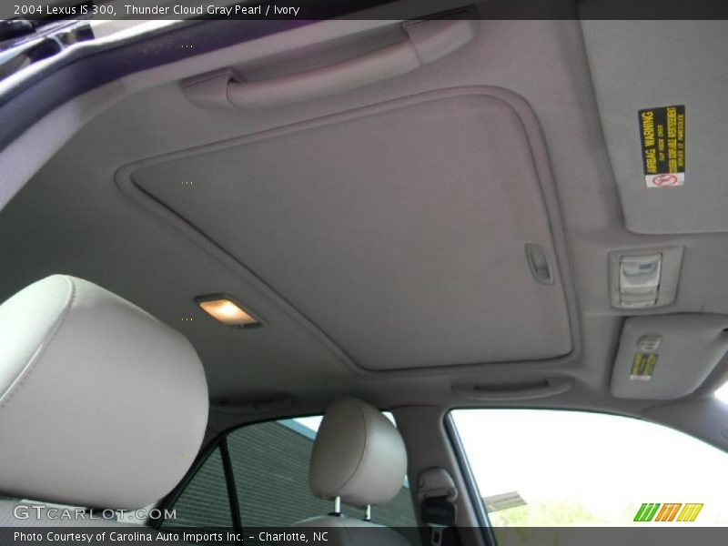 Thunder Cloud Gray Pearl / Ivory 2004 Lexus IS 300