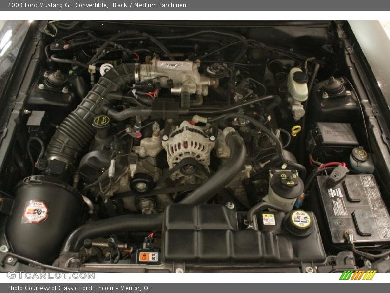 Black / Medium Parchment 2003 Ford Mustang GT Convertible