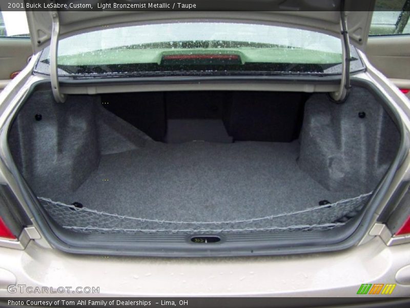 Light Bronzemist Metallic / Taupe 2001 Buick LeSabre Custom
