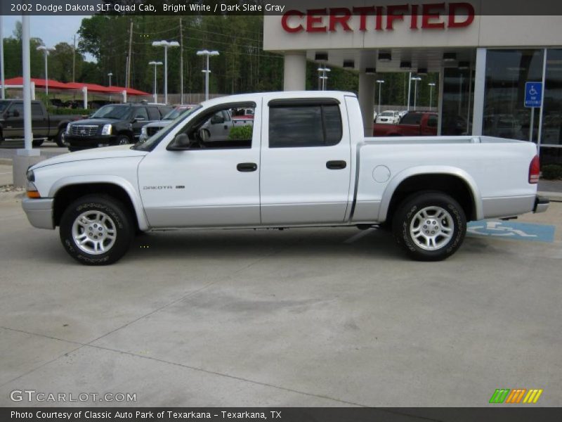 Bright White / Dark Slate Gray 2002 Dodge Dakota SLT Quad Cab