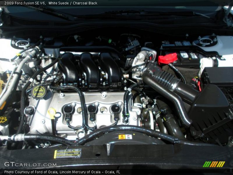 White Suede / Charcoal Black 2009 Ford Fusion SE V6