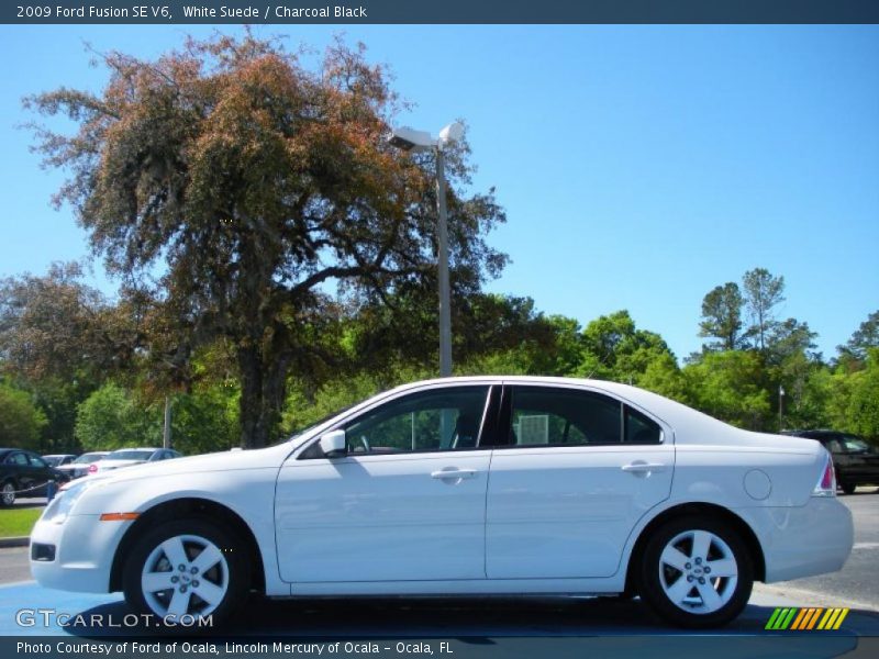 White Suede / Charcoal Black 2009 Ford Fusion SE V6