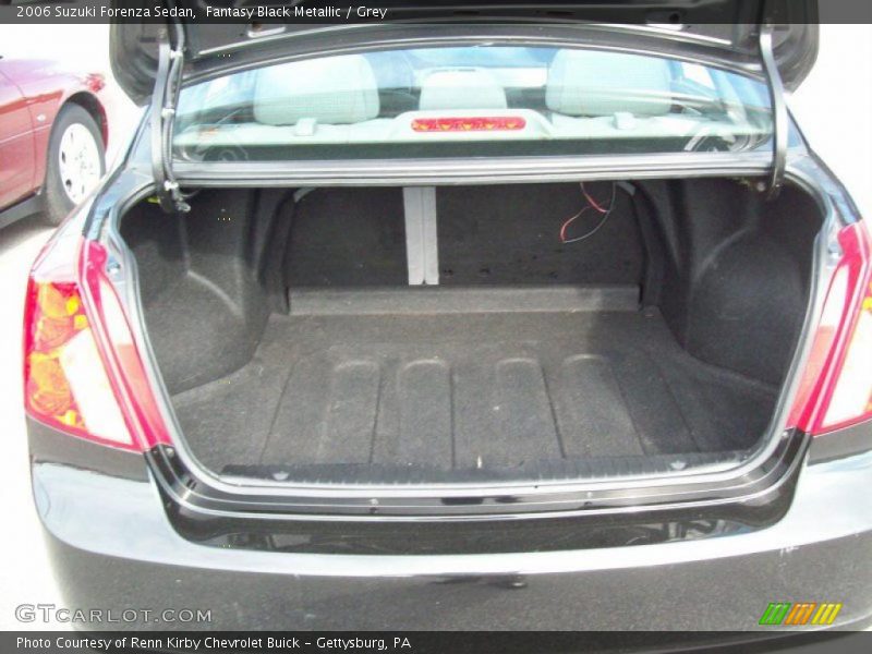 Fantasy Black Metallic / Grey 2006 Suzuki Forenza Sedan