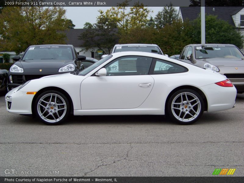 Carrara White / Black 2009 Porsche 911 Carrera Coupe