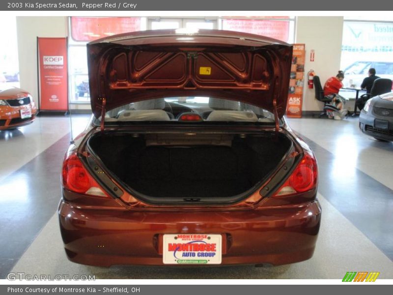 Pepper Red / Grey 2003 Kia Spectra Sedan