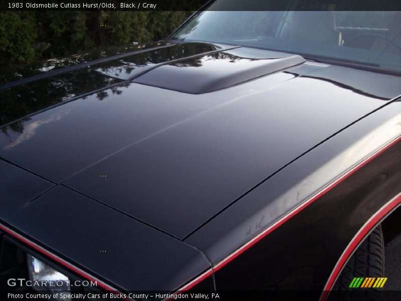 Black / Gray 1983 Oldsmobile Cutlass Hurst/Olds