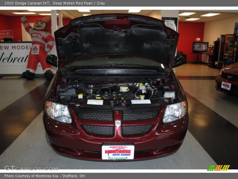 Deep Molten Red Pearl / Gray 2003 Dodge Caravan SXT