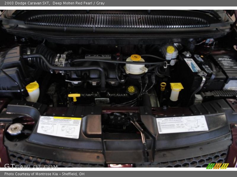 Deep Molten Red Pearl / Gray 2003 Dodge Caravan SXT