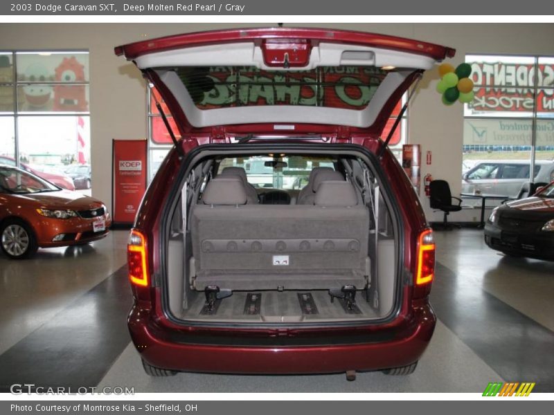 Deep Molten Red Pearl / Gray 2003 Dodge Caravan SXT