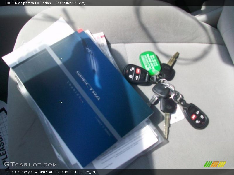 Clear Silver / Gray 2006 Kia Spectra EX Sedan