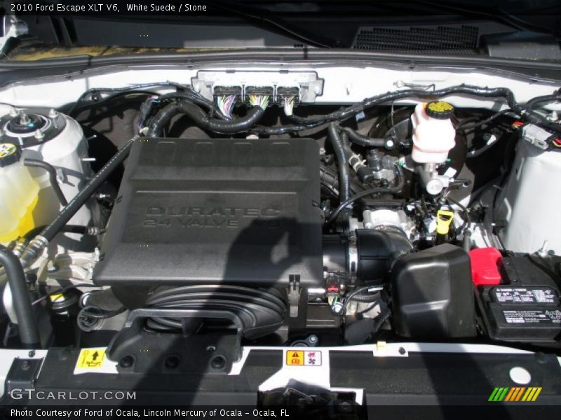 White Suede / Stone 2010 Ford Escape XLT V6