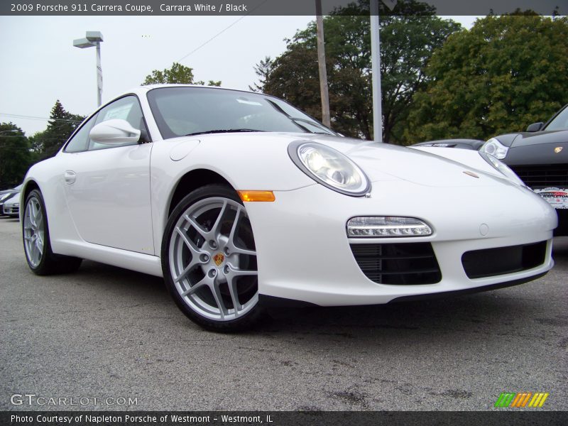 Carrara White / Black 2009 Porsche 911 Carrera Coupe