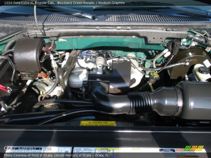 Woodland Green Metallic / Medium Graphite 1999 Ford F150 XL Regular Cab