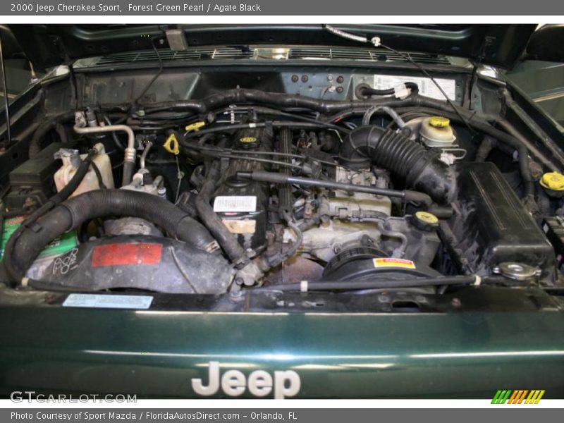 Forest Green Pearl / Agate Black 2000 Jeep Cherokee Sport