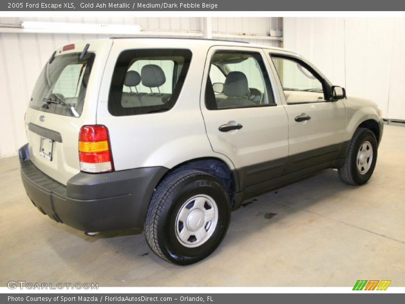Gold Ash Metallic / Medium/Dark Pebble Beige 2005 Ford Escape XLS