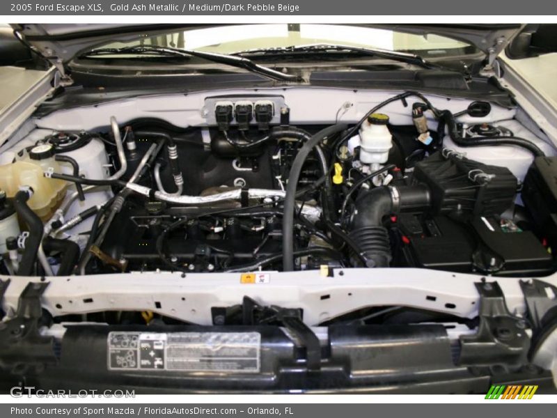 Gold Ash Metallic / Medium/Dark Pebble Beige 2005 Ford Escape XLS