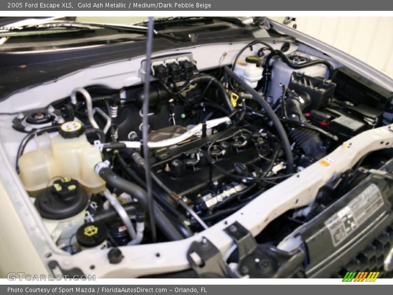 Gold Ash Metallic / Medium/Dark Pebble Beige 2005 Ford Escape XLS