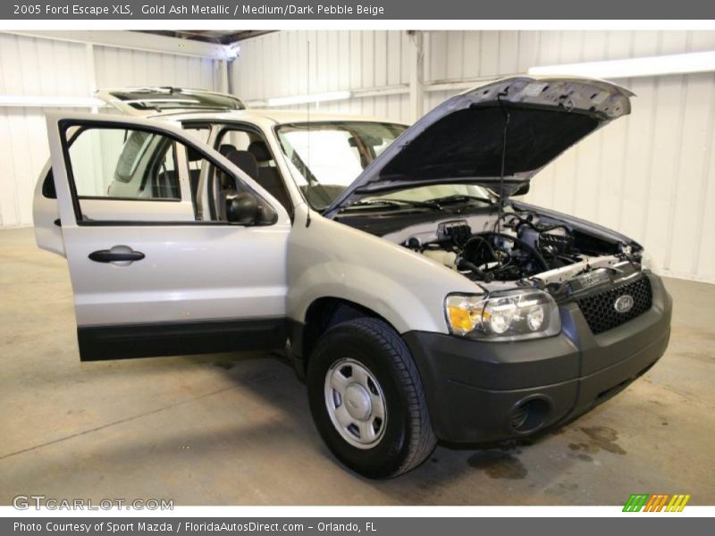 Gold Ash Metallic / Medium/Dark Pebble Beige 2005 Ford Escape XLS