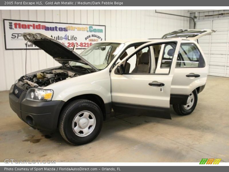 Gold Ash Metallic / Medium/Dark Pebble Beige 2005 Ford Escape XLS