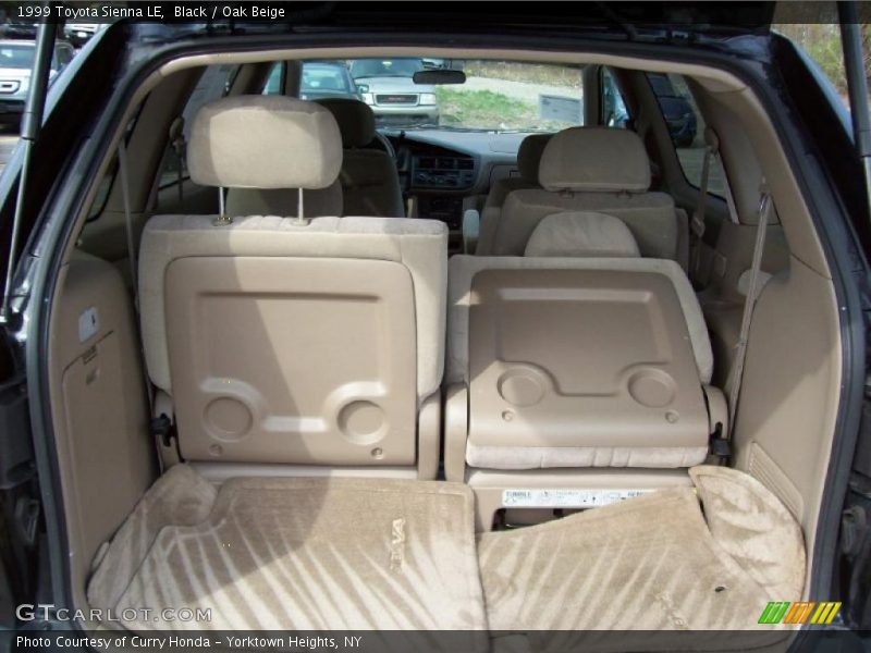 Black / Oak Beige 1999 Toyota Sienna LE
