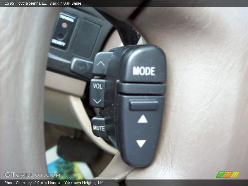 Black / Oak Beige 1999 Toyota Sienna LE