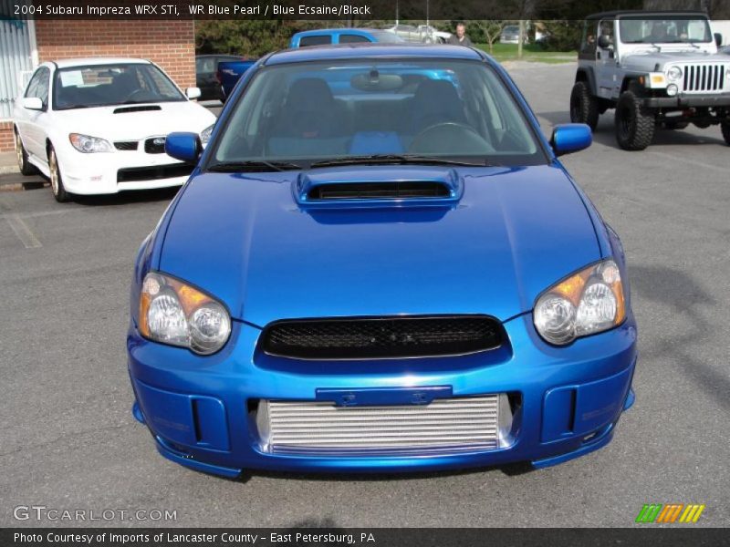 WR Blue Pearl / Blue Ecsaine/Black 2004 Subaru Impreza WRX STi