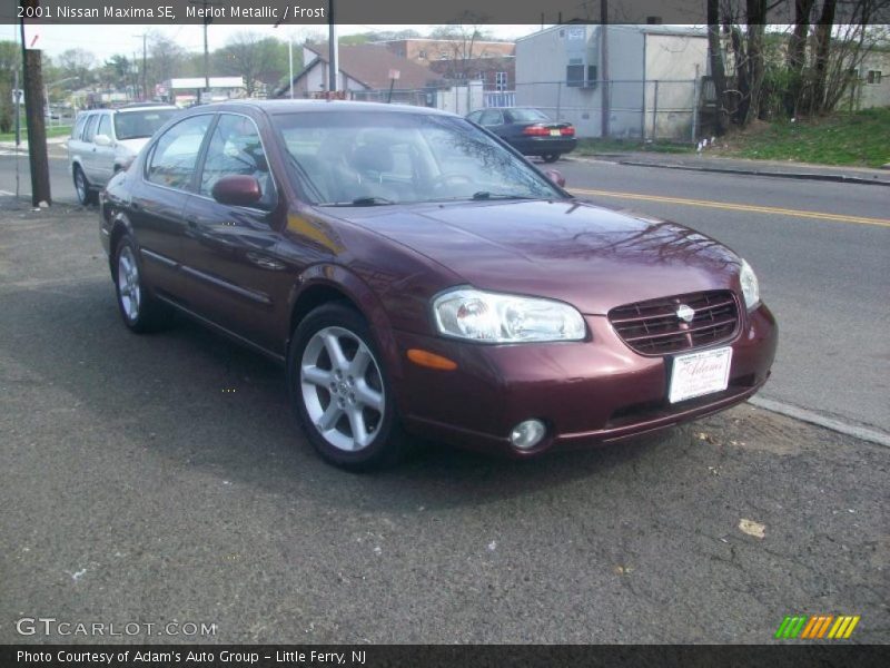 Merlot Metallic / Frost 2001 Nissan Maxima SE
