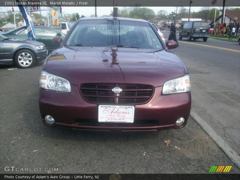 Merlot Metallic / Frost 2001 Nissan Maxima SE