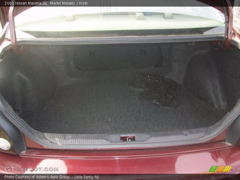 Merlot Metallic / Frost 2001 Nissan Maxima SE