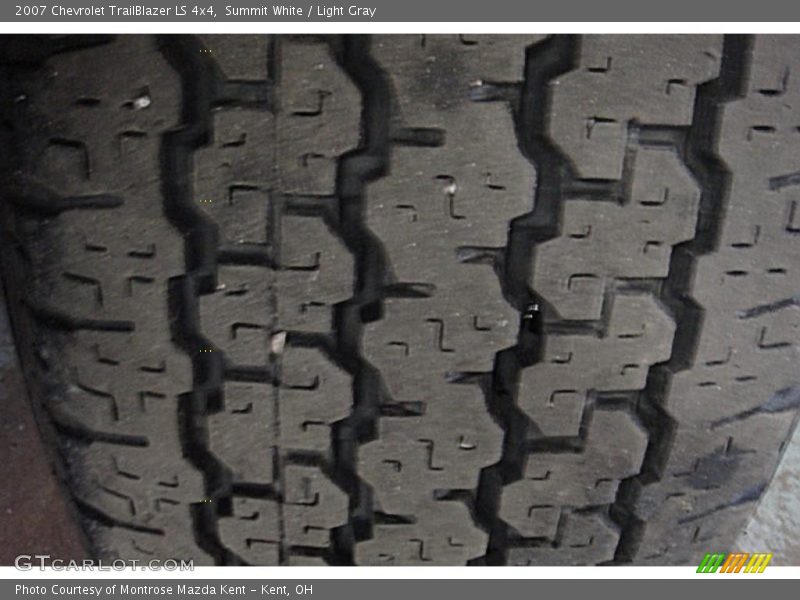 Summit White / Light Gray 2007 Chevrolet TrailBlazer LS 4x4
