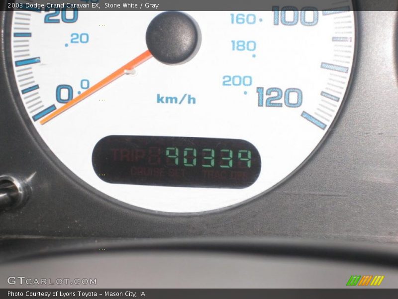 Stone White / Gray 2003 Dodge Grand Caravan EX