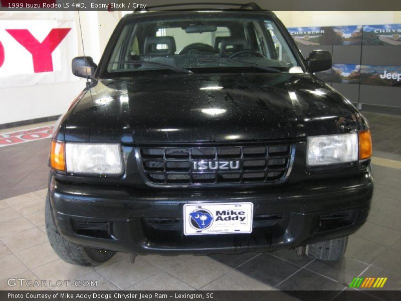 Ebony Black / Gray 1999 Isuzu Rodeo LS 4WD