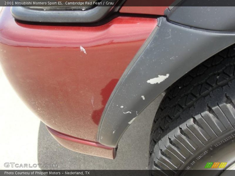 Cambridge Red Pearl / Gray 2001 Mitsubishi Montero Sport ES