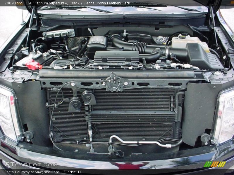 Black / Sienna Brown Leather/Black 2009 Ford F150 Platinum SuperCrew