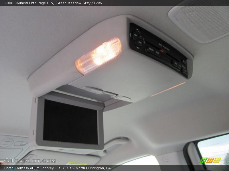 Green Meadow Gray / Gray 2008 Hyundai Entourage GLS