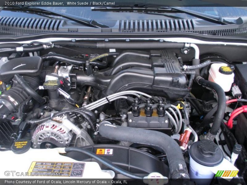 White Suede / Black/Camel 2010 Ford Explorer Eddie Bauer