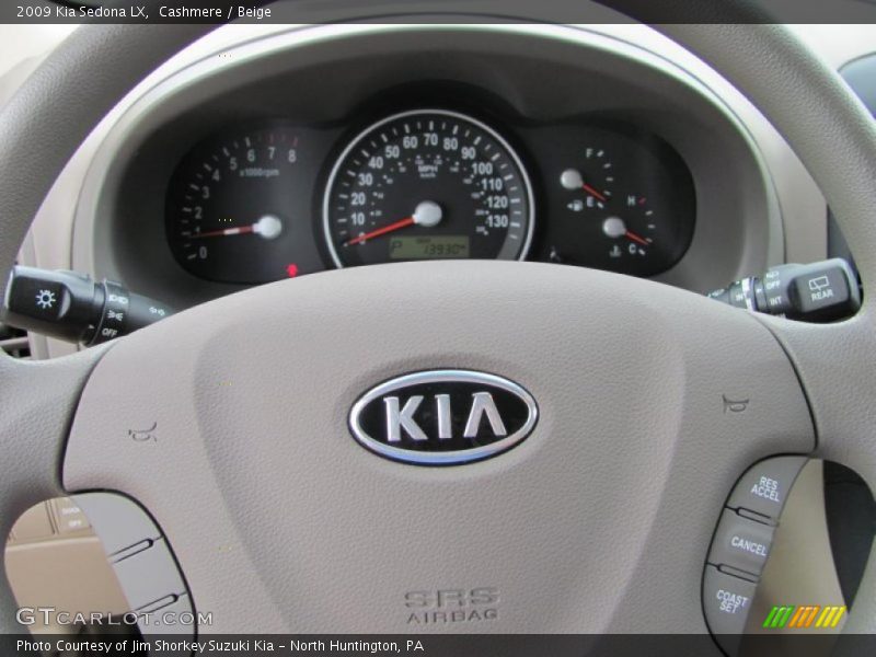 Cashmere / Beige 2009 Kia Sedona LX