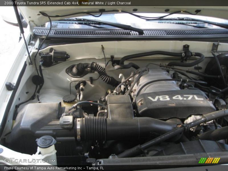 Natural White / Light Charcoal 2000 Toyota Tundra SR5 Extended Cab 4x4