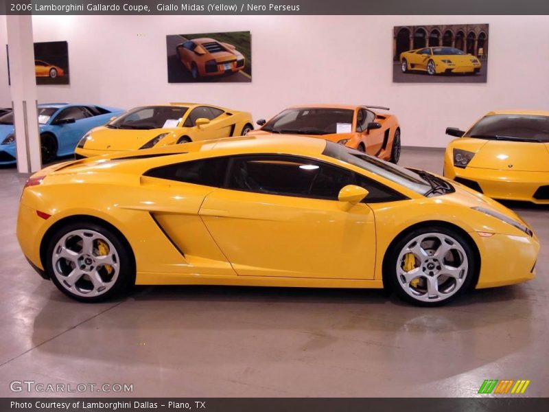 Giallo Midas (Yellow) / Nero Perseus 2006 Lamborghini Gallardo Coupe