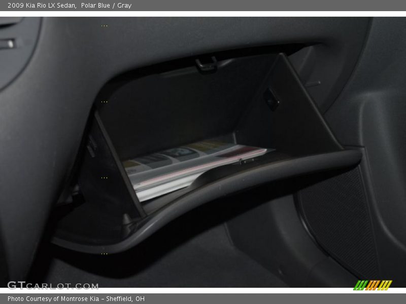 Polar Blue / Gray 2009 Kia Rio LX Sedan