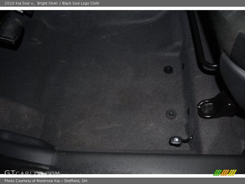 Bright Silver / Black Soul Logo Cloth 2010 Kia Soul +