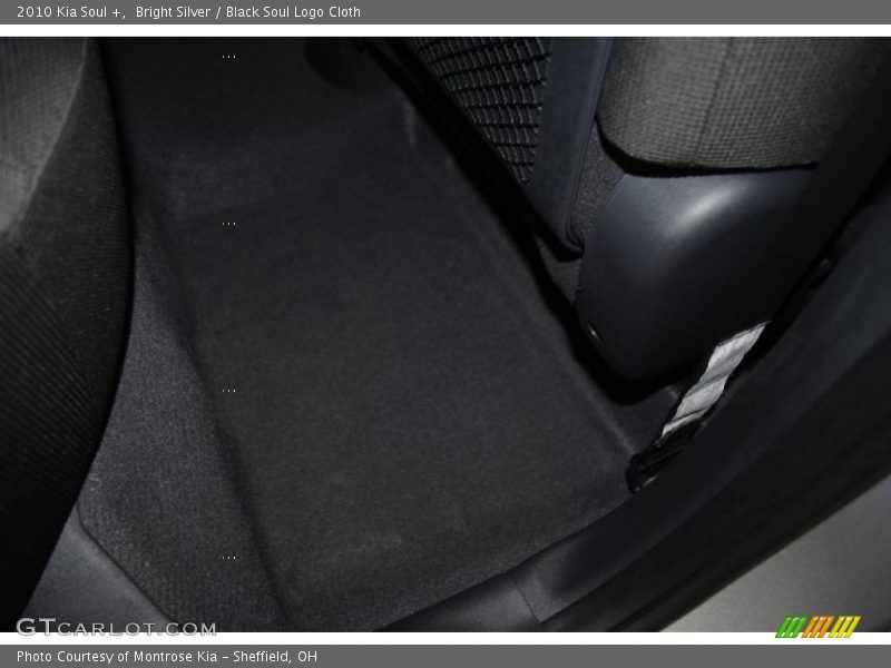 Bright Silver / Black Soul Logo Cloth 2010 Kia Soul +