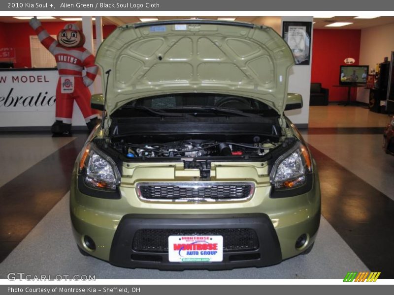Alien Green / Black Soul Logo Cloth 2010 Kia Soul +