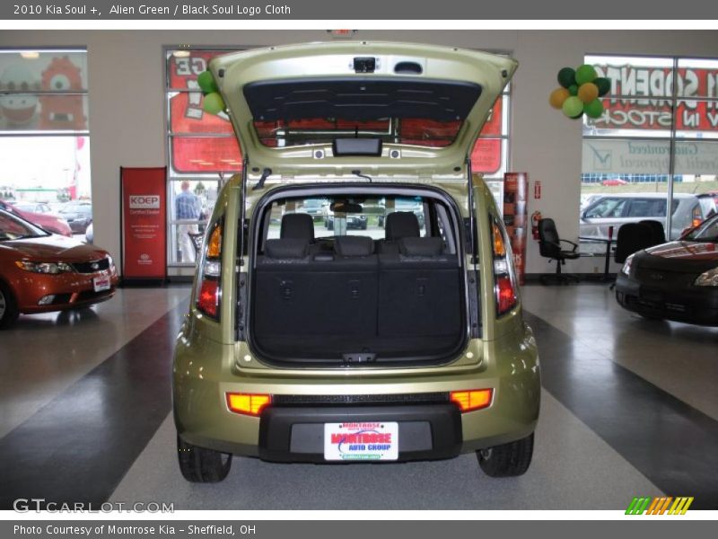 Alien Green / Black Soul Logo Cloth 2010 Kia Soul +