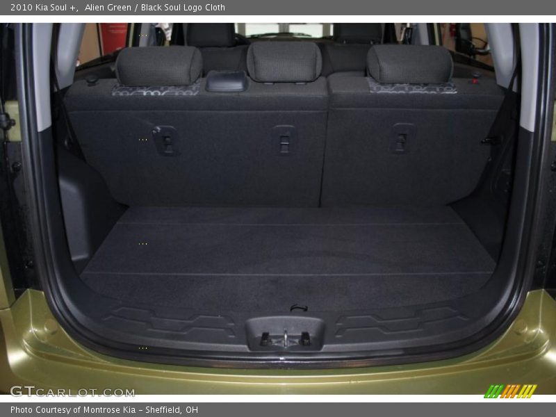 Alien Green / Black Soul Logo Cloth 2010 Kia Soul +