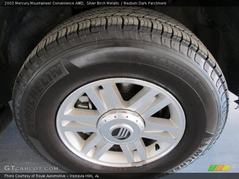 Silver Birch Metallic / Medium Dark Parchment 2003 Mercury Mountaineer Convenience AWD