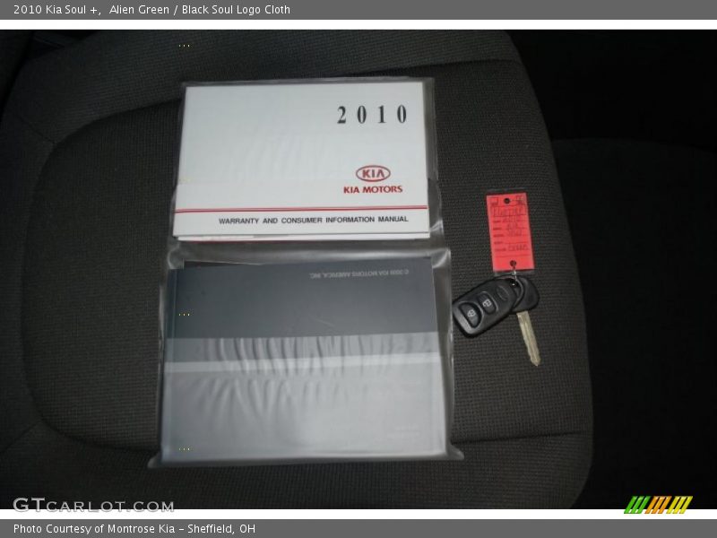 Alien Green / Black Soul Logo Cloth 2010 Kia Soul +