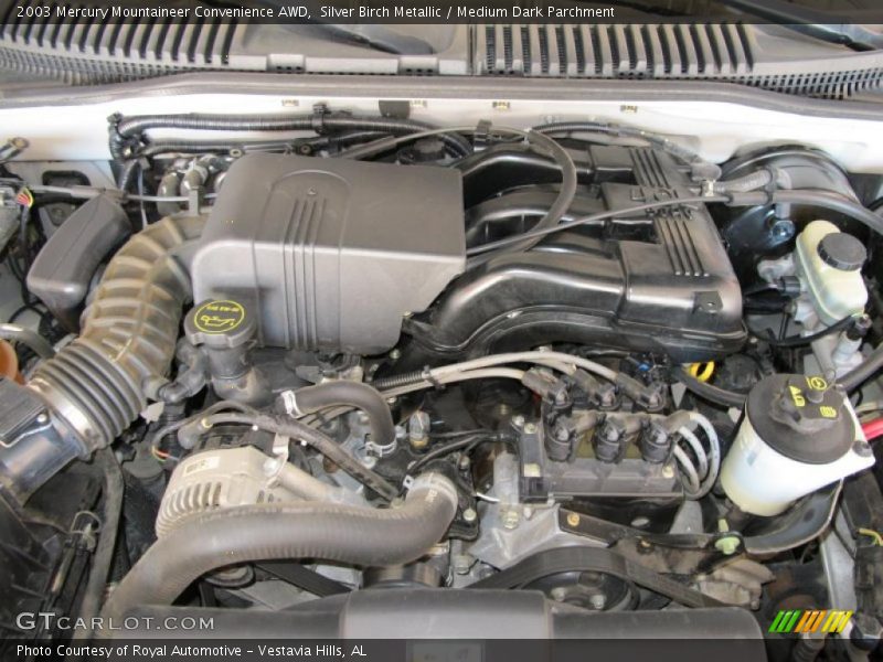 Silver Birch Metallic / Medium Dark Parchment 2003 Mercury Mountaineer Convenience AWD
