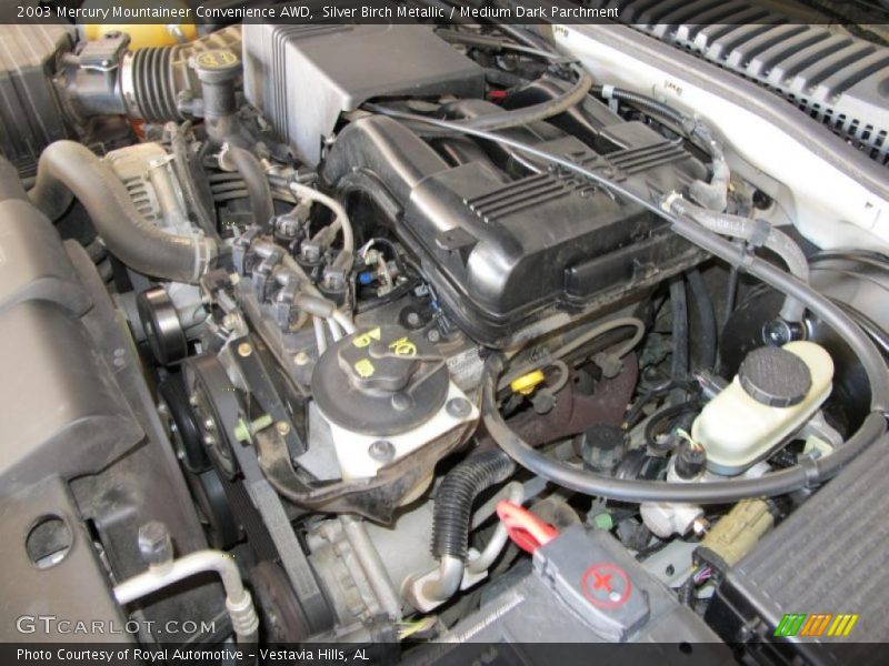Silver Birch Metallic / Medium Dark Parchment 2003 Mercury Mountaineer Convenience AWD